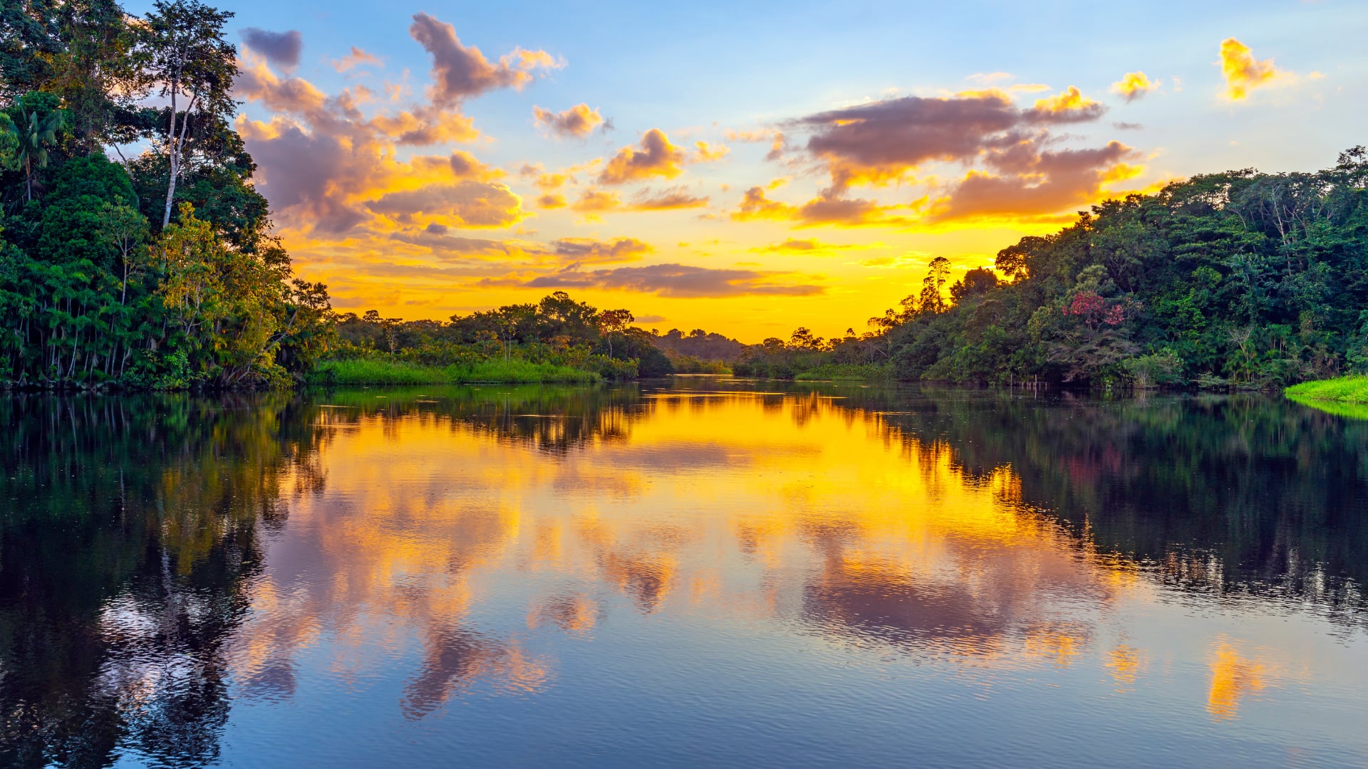 Colombia impulsa el turismo amazónico desde Leticia. El Parque Nacional Natural Amacayacu sobresale por su riqueza en aves y fauna, con acceso aéreo directo desde Bogotá.
