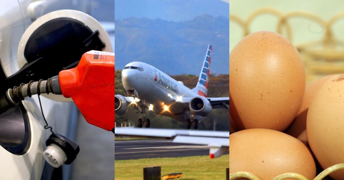 En la imagen, gasolina, un avión y huevos