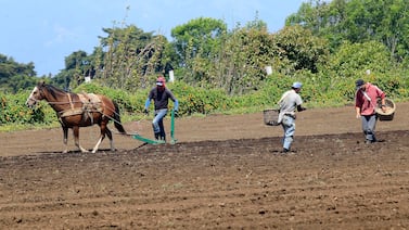 El Niño en Costa Rica: BN, BCR y Banco Popular ofrecen financiamientos y prórrogas de créditos