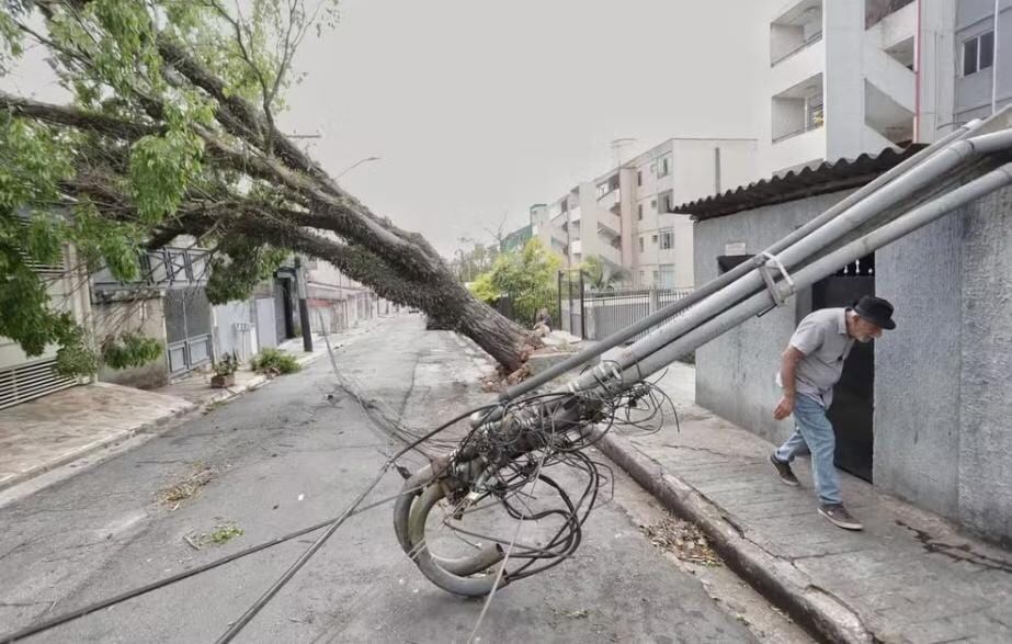 Una tormenta en Brasil dejó ocho fallecidos y afectó el suministro eléctrico con más de un millón de hogares sin electricidad. El alcalde reportó 386 árboles caídos.