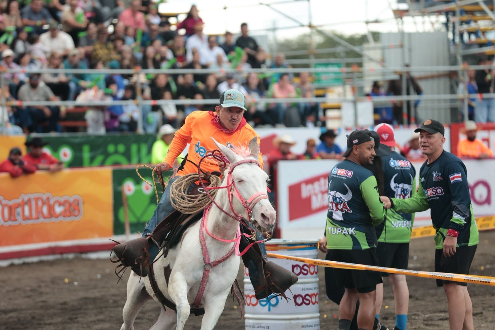 Toros de Pedregal 2025