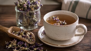 La planta medicinal que alivia la tos, mejora la digestión y protege la piel: los beneficios del malvavisco que pocos conocen