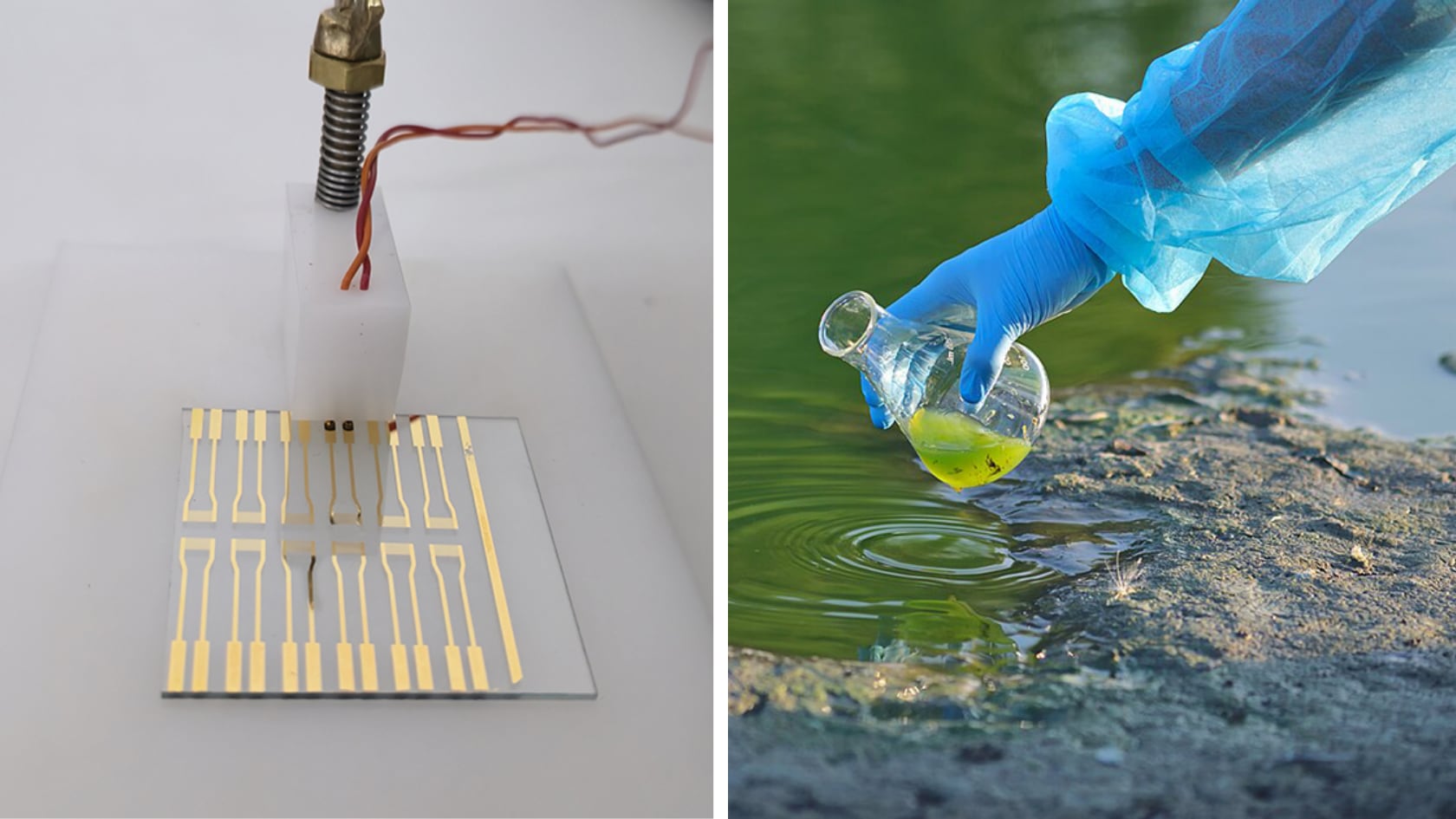Nuevo prototipo de lengua electrónica analiza agua y detecta metales pesados como mercurio, hierro y plata. La tecnología apunta al monitoreo ambiental y agrícola.