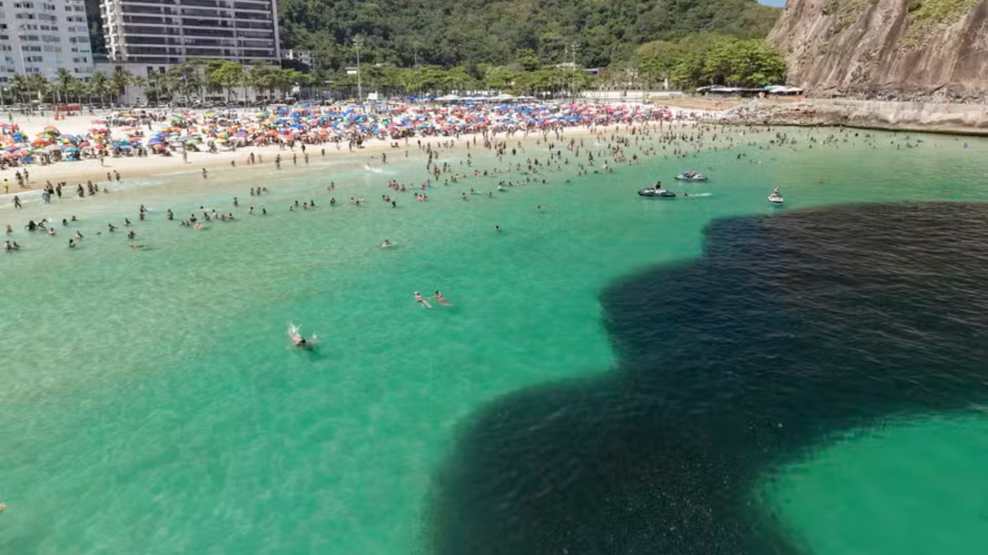 Cardúmenes extensos recorrieron la Zona Sur de Río de Janeiro y generaron registros en redes en medio de explicaciones científicas sobre la surgencia.
