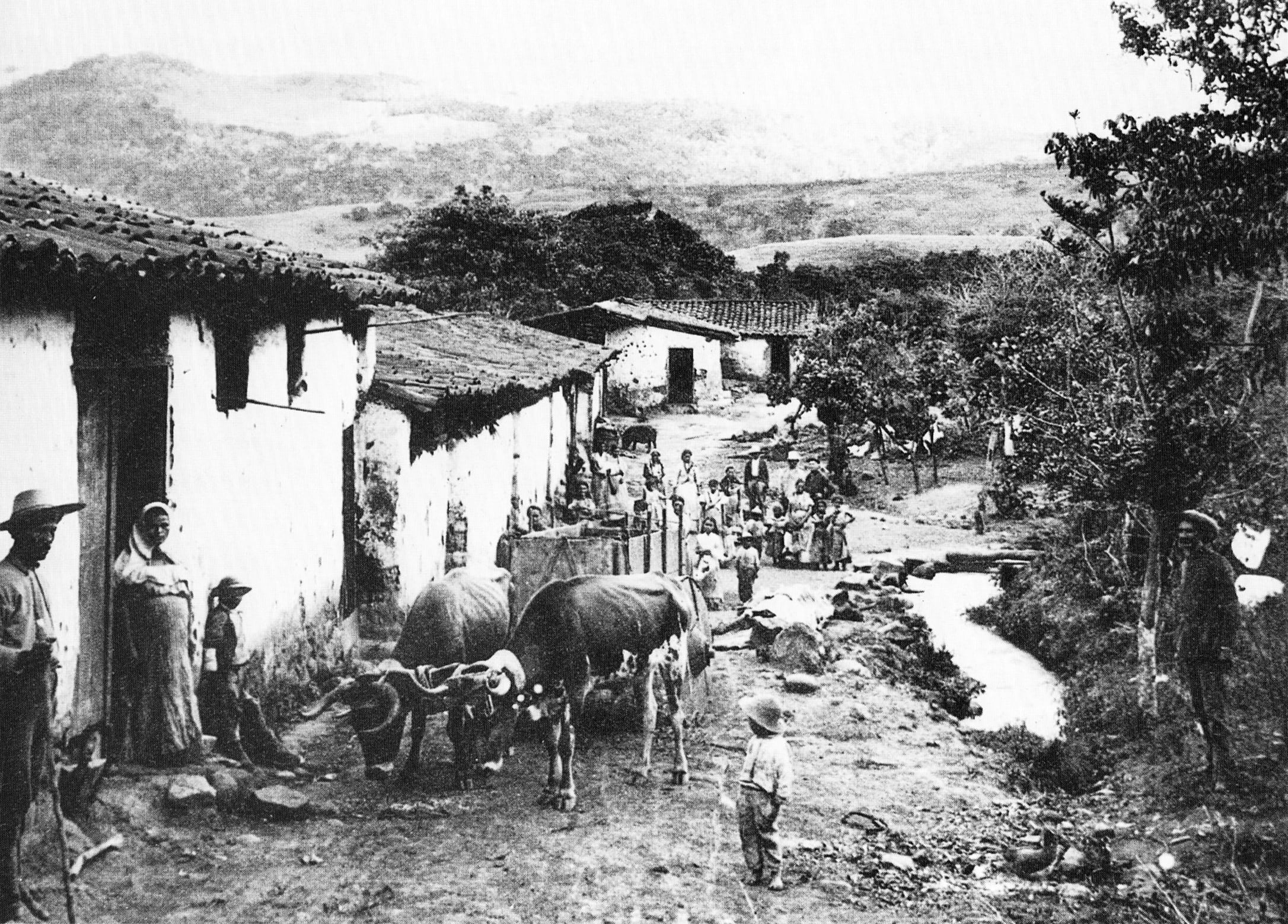 Vista de un arrabal josefino, a inicios de la década de 1890.
Fotografía de Henry G. Morgan. Andrés Fdez para LN. .