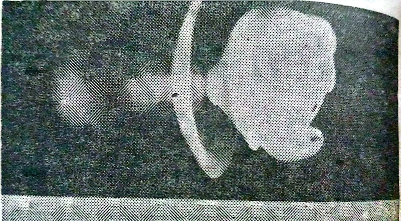 Esta es la chupeta, de fabricación española, considerada peligrosa por los expertos en pediatría. Un niño murió ahogado al tragársela.