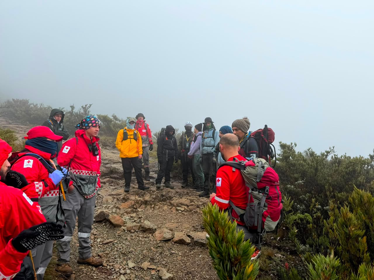 Búsqueda de hombre desaparecido en el Parque Nacional Chirripóo.