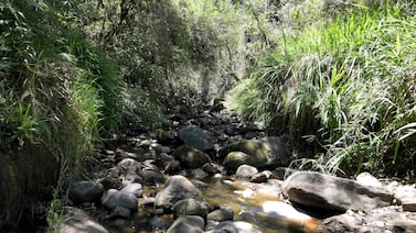 Crisis de agua en Bogotá provoca que multen a quienes ‘lleven al despilfarro’ de ese líquido