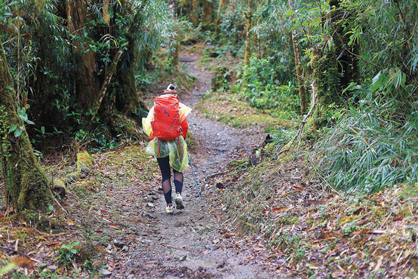 Caminar Costa Rica, paso a paso: el viaje que transforma