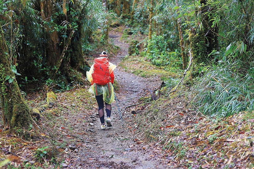 Camino Costa Rica