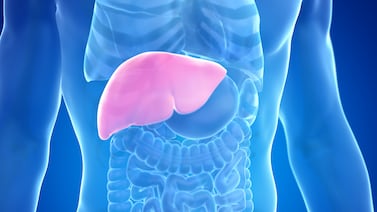 Enfermedad del hígado graso: la dieta más efectiva para tratarla y el edulcorante que debe evitar