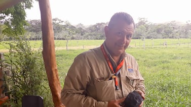 Un meteorito, un pastor alemán y 4.567 millones de años de historia