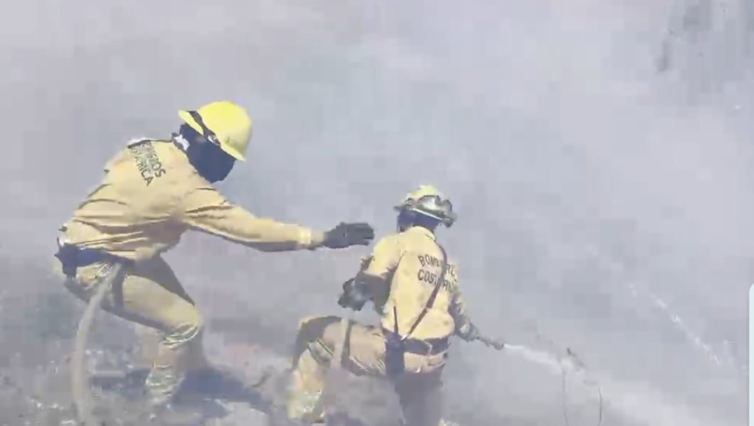 Bomberos atienden voraz incendio forestal en Guanacaste.