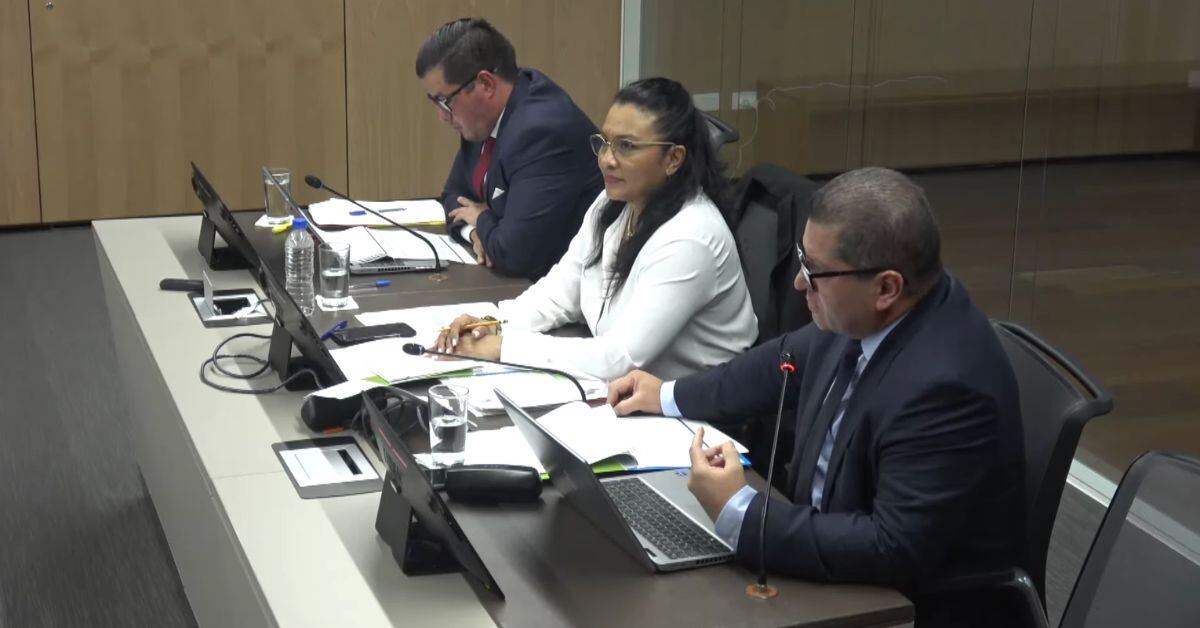 Nayuribe Guadamuz - Comisión Permanente Ordinaria de Asuntos Sociales (Foto: Asamblea Legislativa)