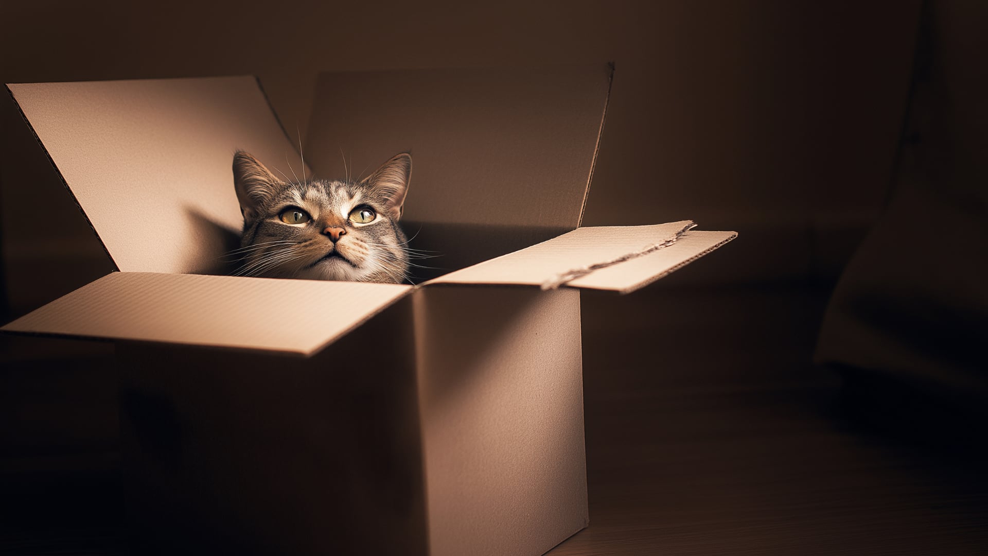 Un experimento con miles de átomos de sodio marcó un récord en superposición cuántica y reavivó el debate sobre los límites entre lo cuántico y lo clásico.