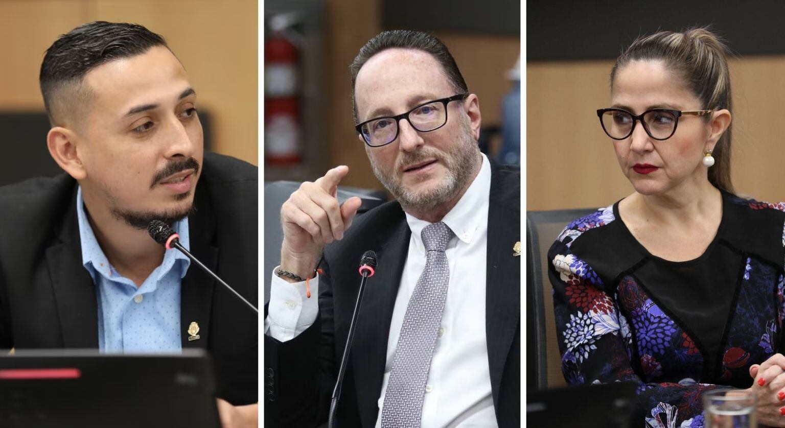 Ariel Robles Eliécer Feinzaig Alejandra Larios