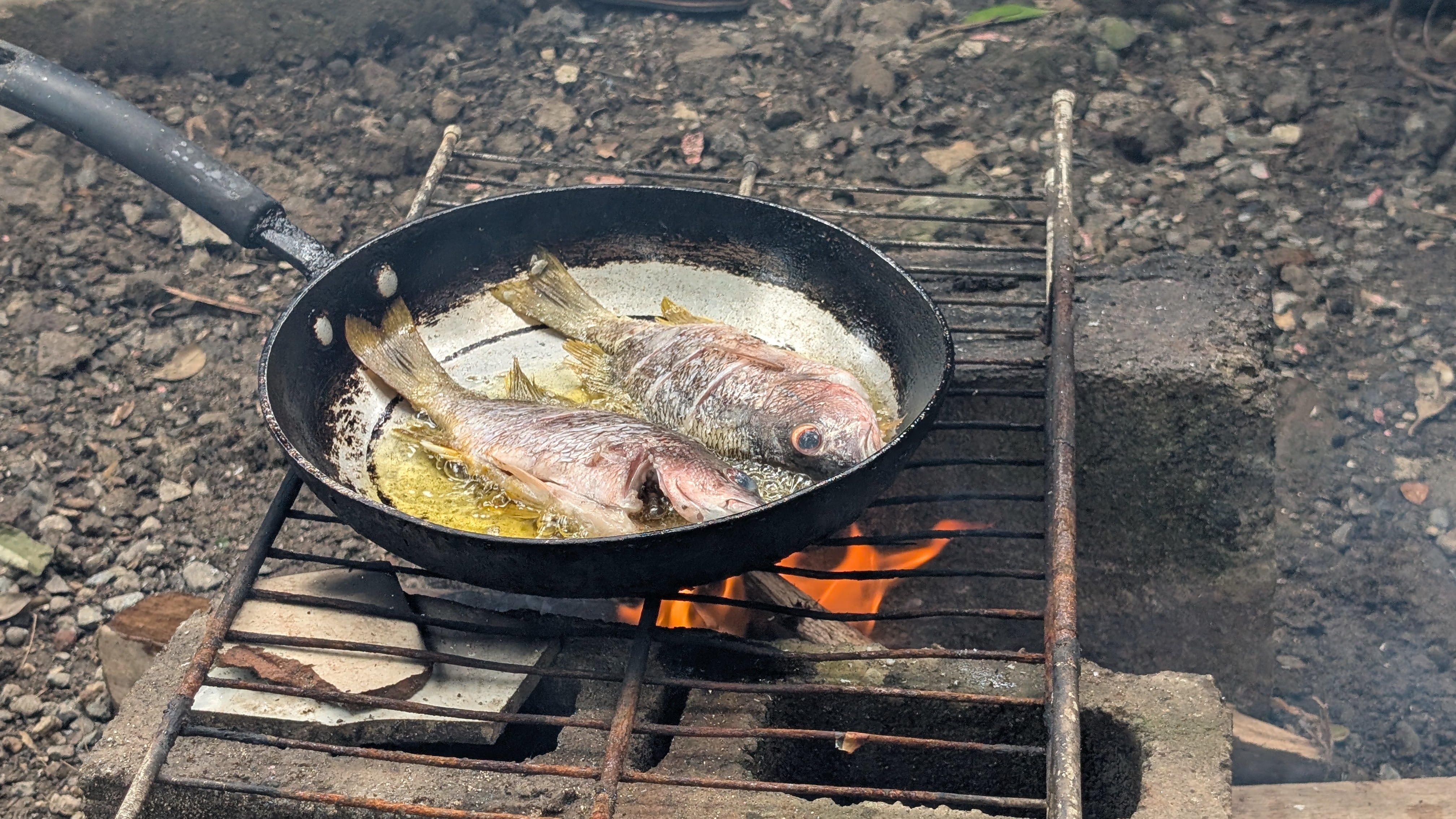 Con la técnica más rústica, primitiva y deliciosa: dos blocs y algo de madera. Así cocinó los pescados la familia de Arnoldo Hernández.