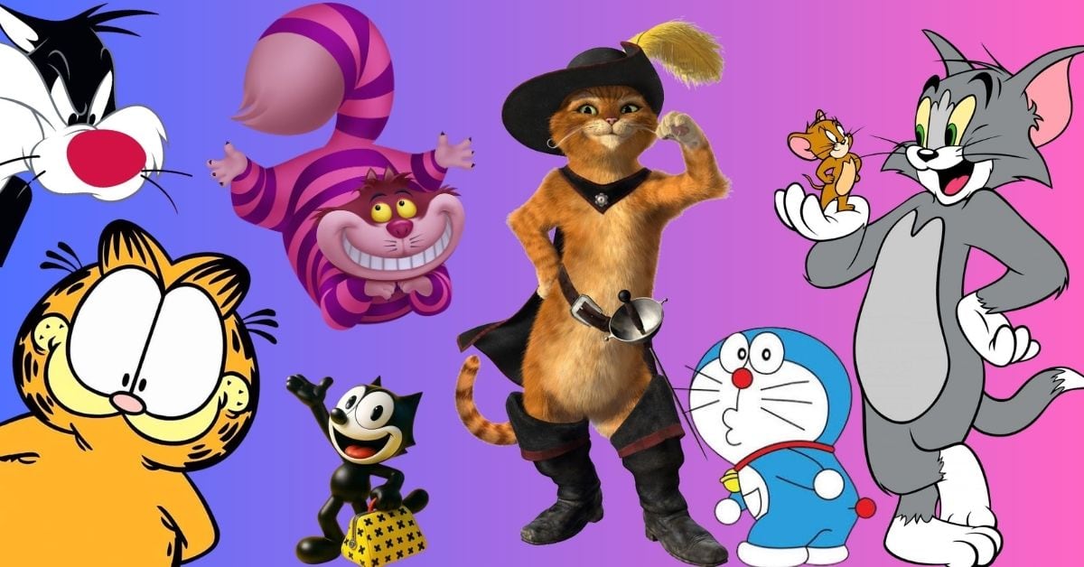 Nota gatos