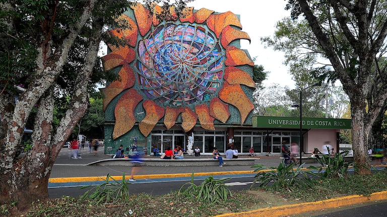 Estudiantes llegan a la U con pésimo nivel de comprensión lectora; estos son los hallazgos de un nuevo informe