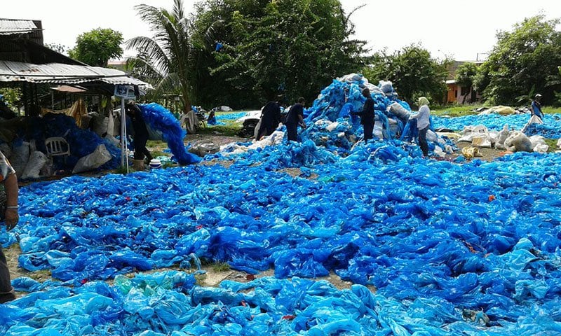 Las bolsas de plástico se recogen en las fincas bananeras, se realiza la desinfección y se reciclan en mangueras para irrigación, postes para cercas y otros productos. Foto: Cortesía de Barriplast