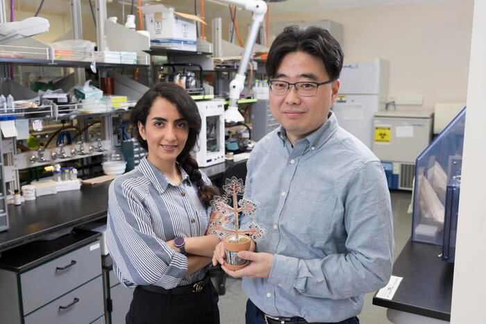 Plantas artificiales capturan CO₂ y emiten oxígeno en interiores, ofreciendo una opción sostenible para mejorar la calidad del aire.