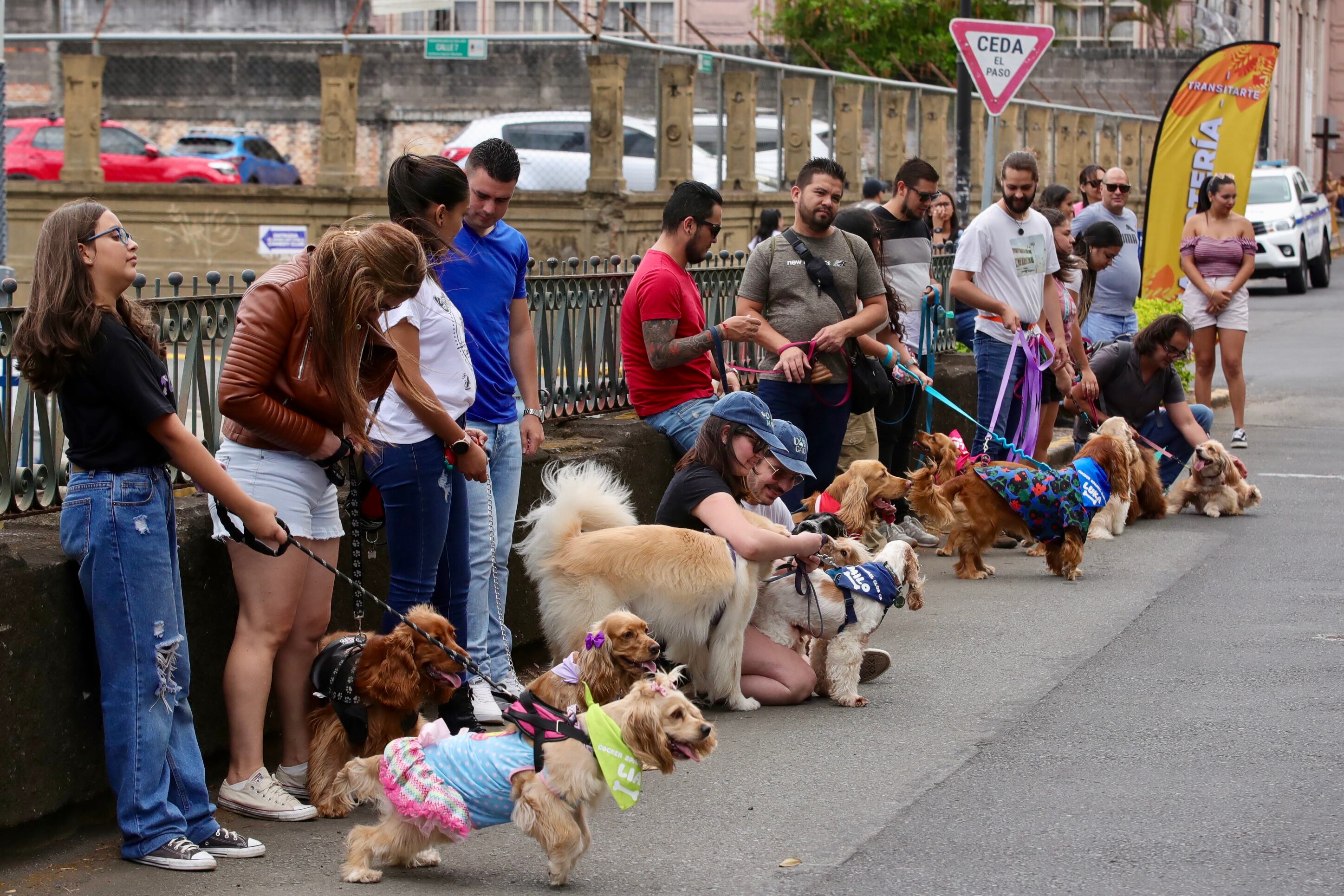 Transitarte San José