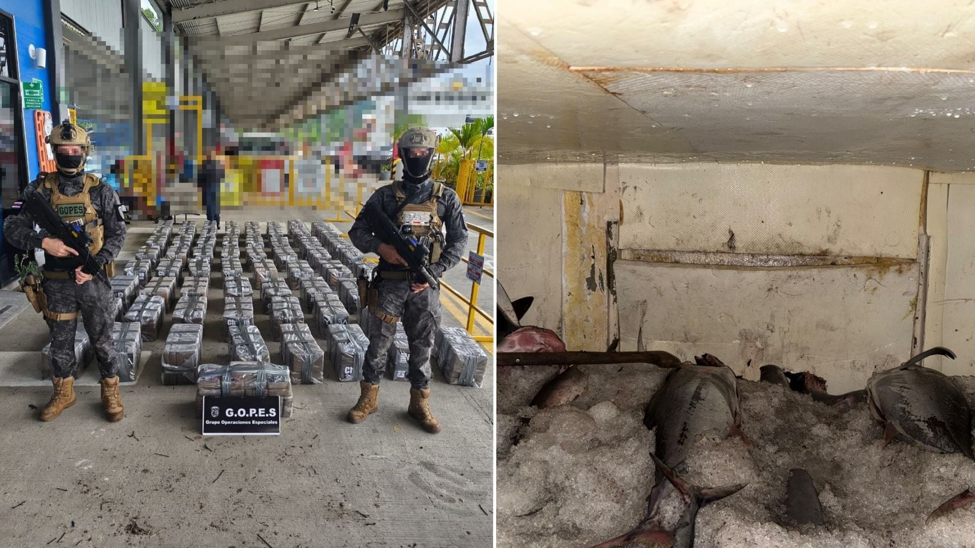 El MSP decomisó más de una tonelada de cocaína.