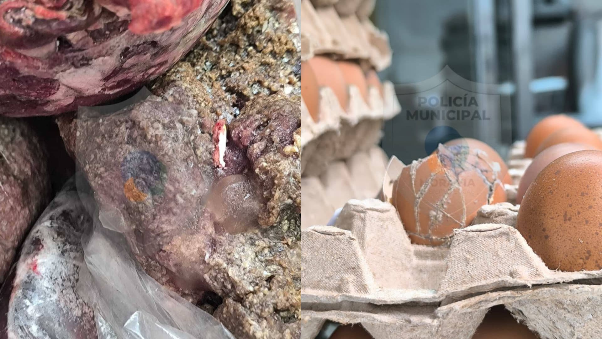 Un operativo entre Senasa y la Policía Municipal de Moravia terminó con el cierre de un local por graves faltas de higiene y productos cárnicos descompuestos.