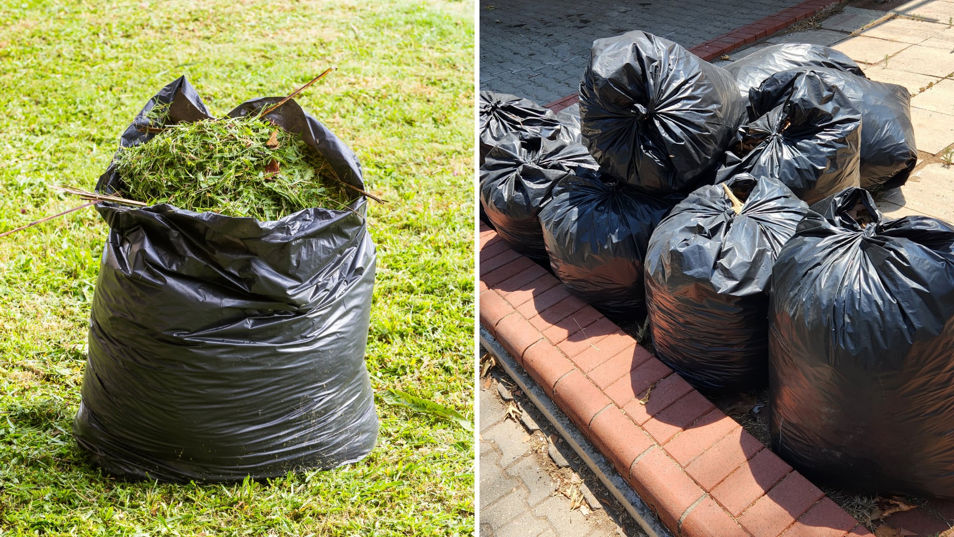 zacate cortado y metido en bolsas de basura, césped, grama, patios, jardín, jardineros