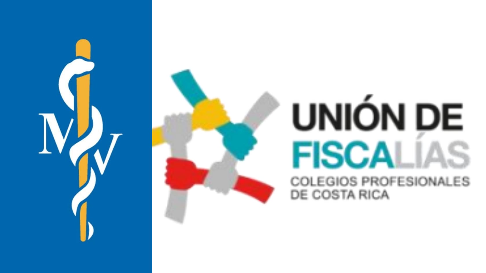 La Unión de Fiscalías de Colegios Profesionales y profesionales en medicina veterinaria cuestionaron una reforma que plantea cambios en los requisitos para ejercer determinadas profesiones.