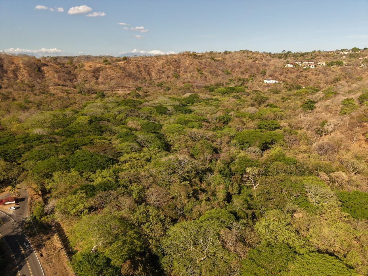 Vista aérea del dosel arbóreo en playa Panamá (Carrillo, Guanacaste) por donde la empresa Enjoy Hotels & Resorts contempla la talar árboles en su primera etapa del proyecto.
