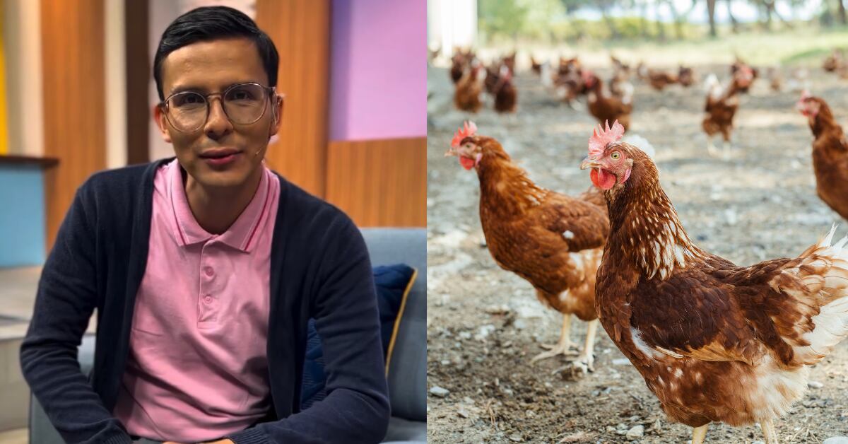 Durante una gira del programa 'Las Historias', el periodista Felipe Loaiza vivió una situación inesperada con una gallina en Pérez Zeledón. La anécdota aún lo hace reír.