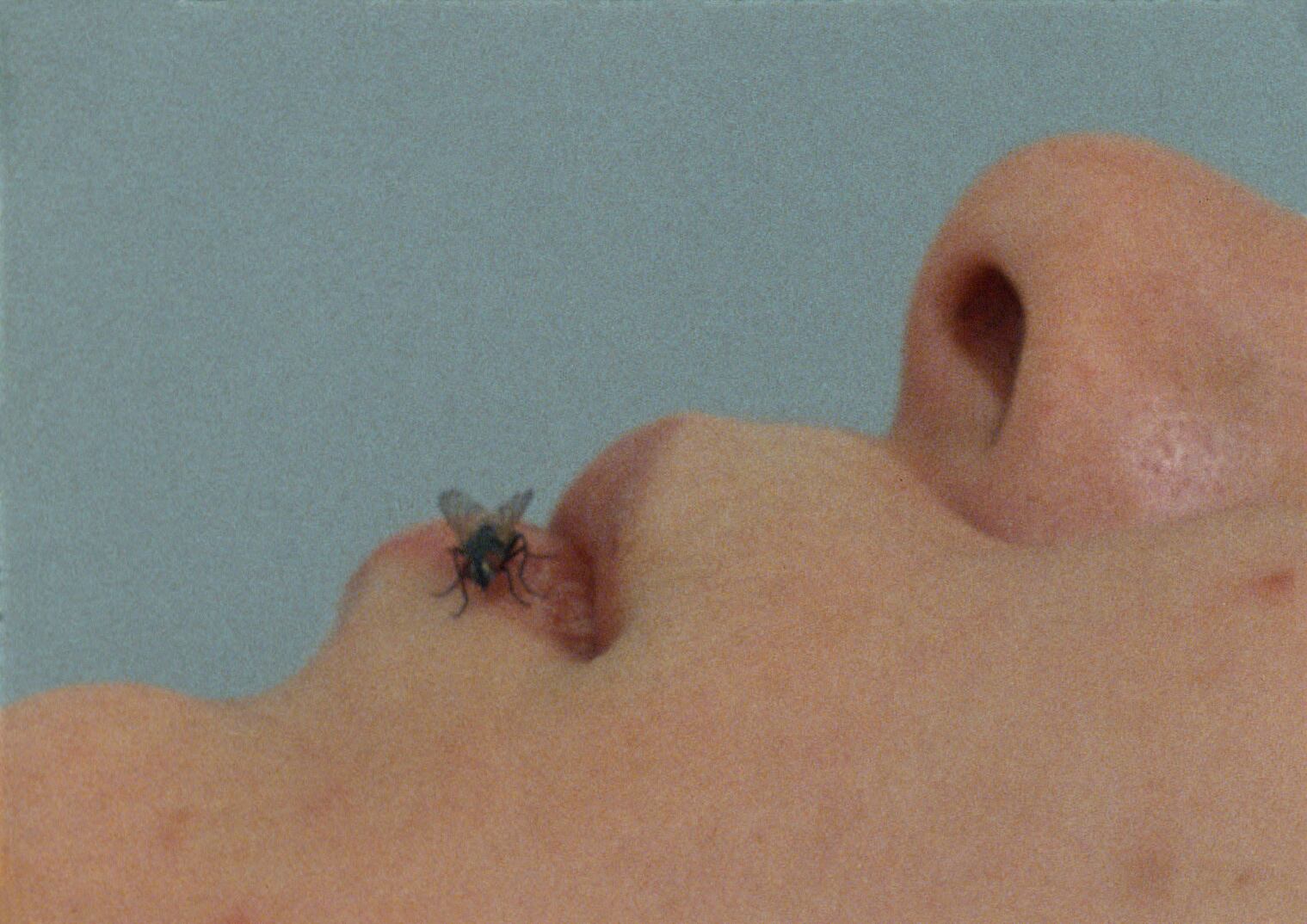 Fotograma de 'Fly' (1970), cortometraje experimental dirigido por Yoko Ono y John Lennon. Cortesía de Yoko Ono / Tate Modern.