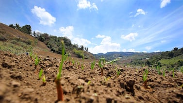 Fenómeno meteorológico de El Niño alcanza niveles récord, según científico