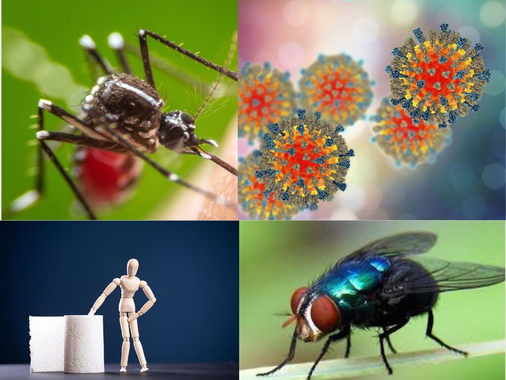 Estos son las condiciones de salud infecciosas más preponderantes en este momento.
Fotografías: Archivo