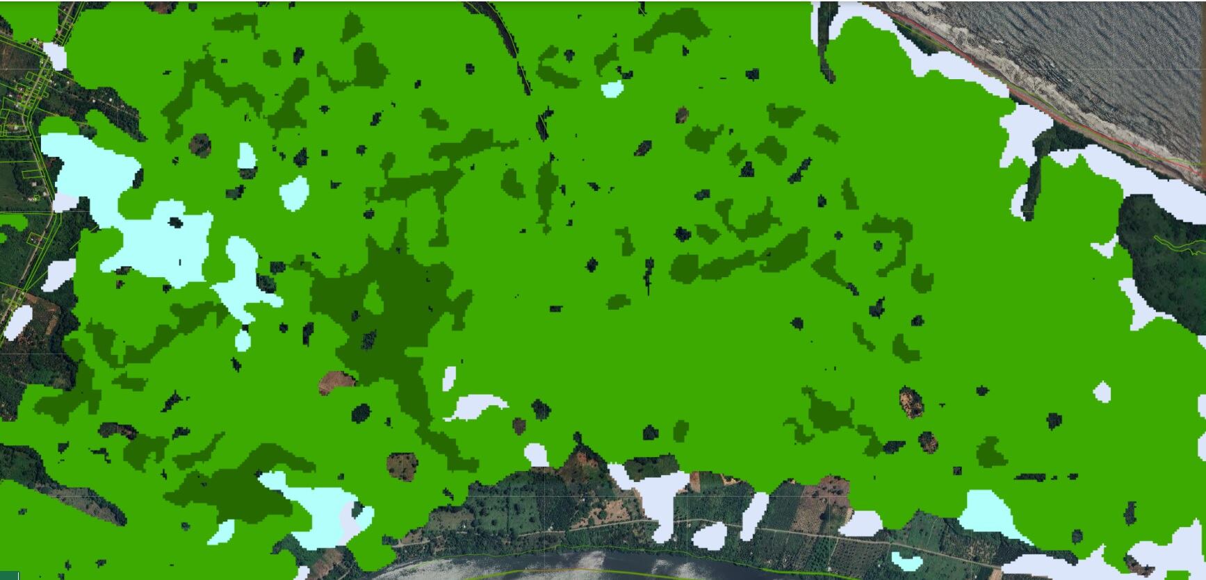 En la cobertura forestal 2021 que aparece en el SNIT se observa cómo la zona donde está la supuesta pista de aterrizaje clandestina estaba cubierta de bosque secundario (verde claro) y bosque maduro (verde oscuro). En celeste se observan manglares. Foto: