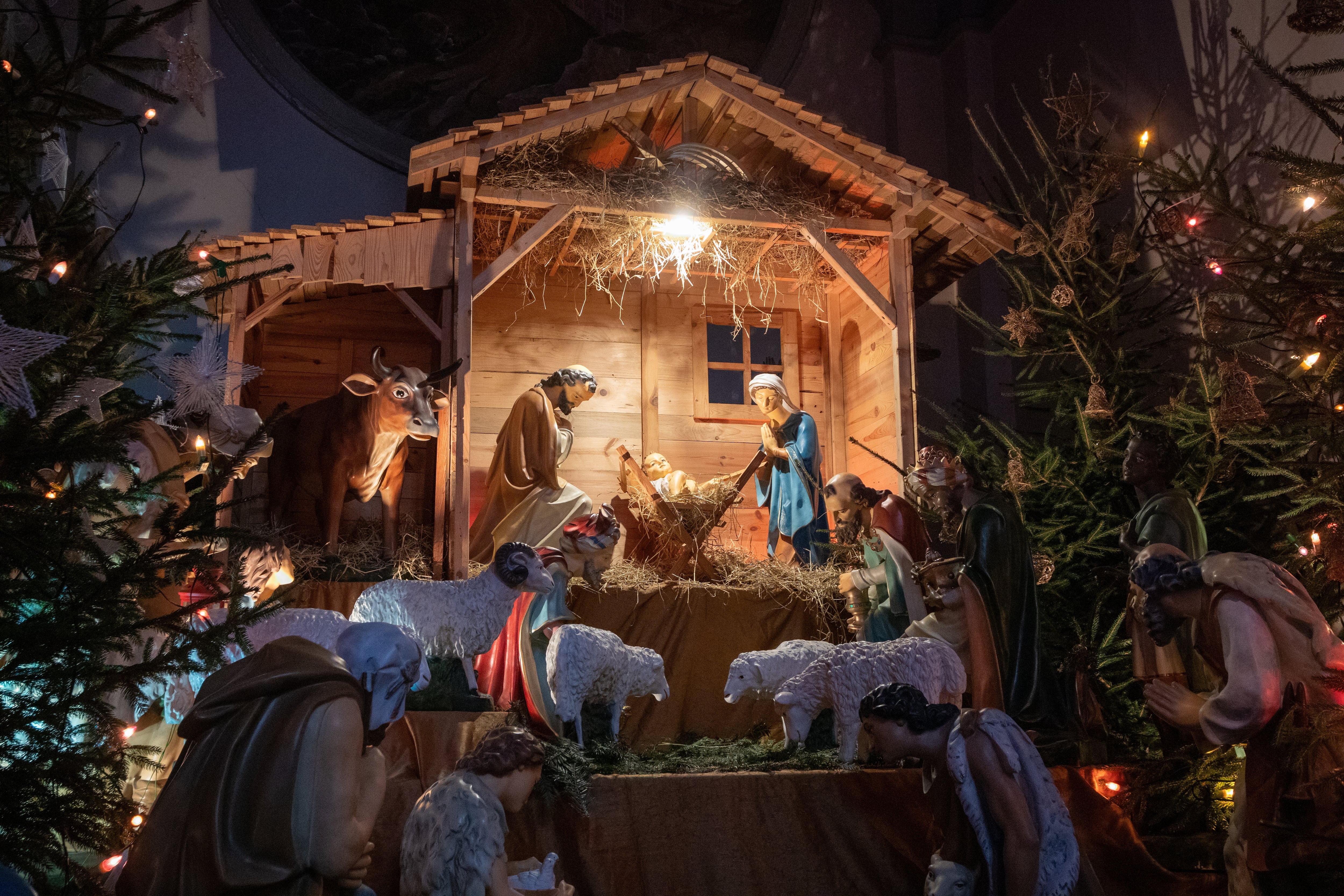 Portal, pasito, nacimiento