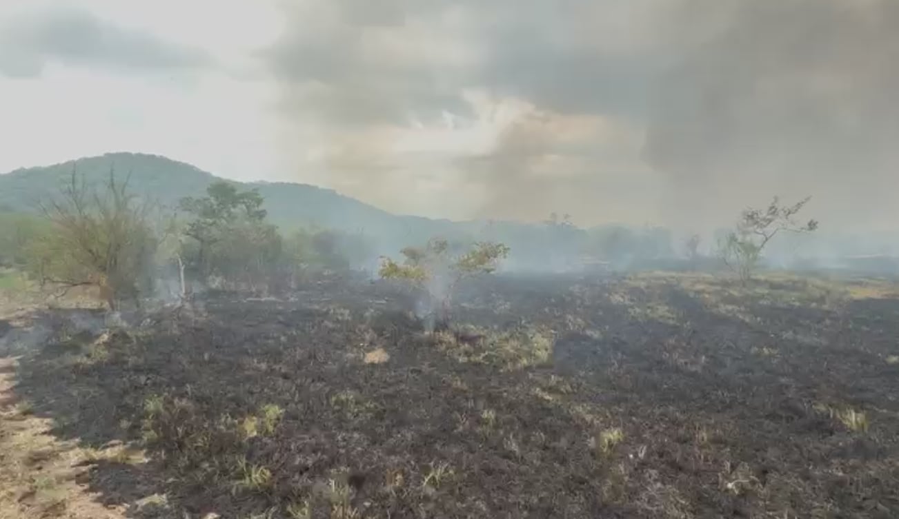 Incendio en Parque Nacional Palo Verde
