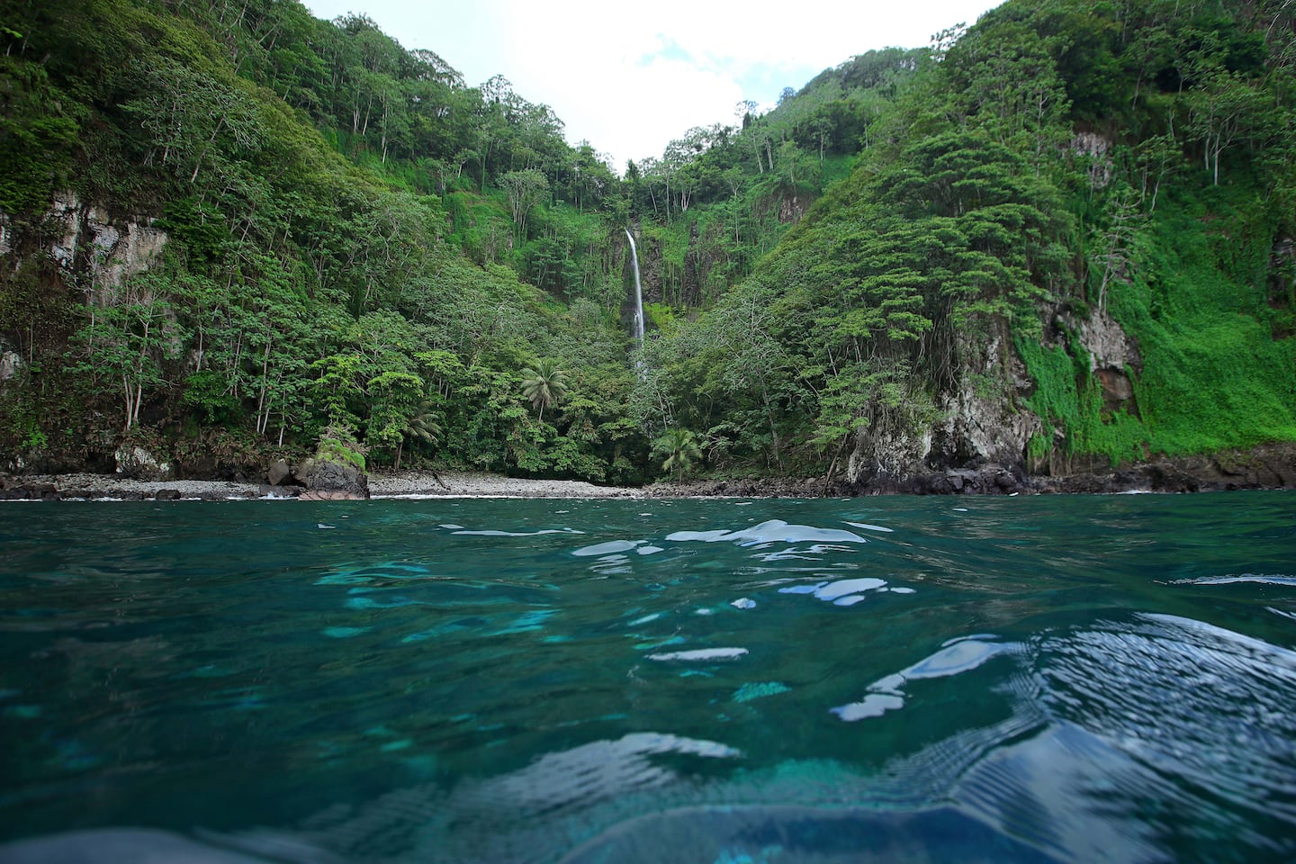 Costa Rica: La contaminación por plásticos ya penetró nuestra cadena alimentaria