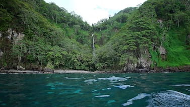La contaminación por plásticos ya penetró nuestra cadena alimentaria