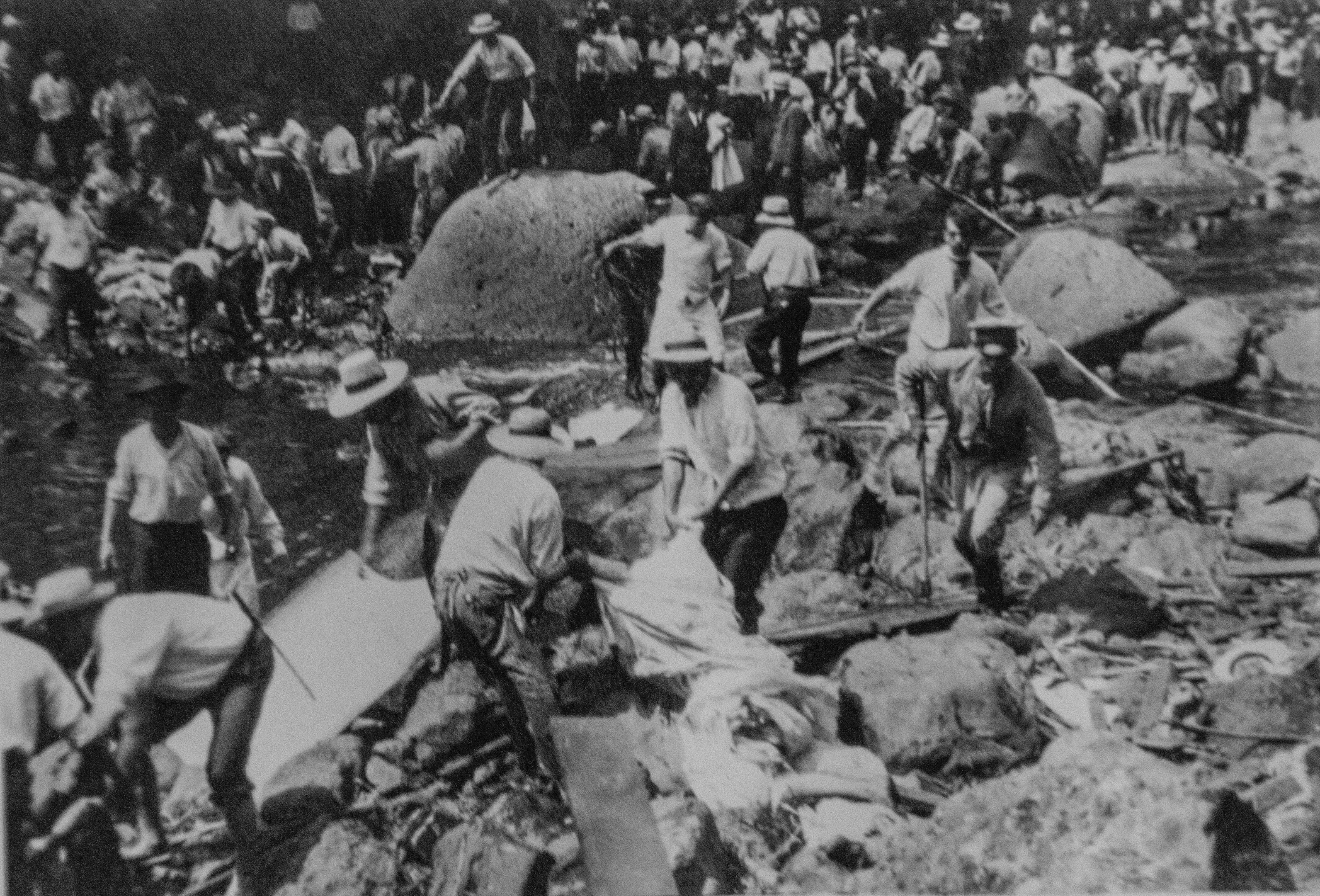 Tragedia del Virilla