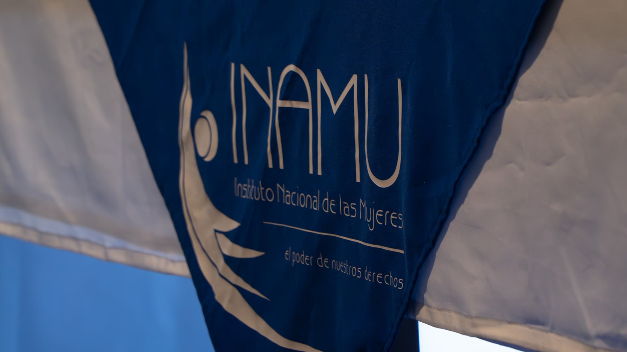 Una candidata a diputada asistió a actos político-electorales mientras estaba incapacitada en el Instituto Nacional de la Mujeres (Inamu) y cobraba el 100% del salario. Se trata de la funcionaria Kathia Calvo Cruz, aspirante en el cuarto lugar de papeleta por Limón del partido chavista Pueblo Soberano (PPSO) y quien labora como asesora en el Inamu.