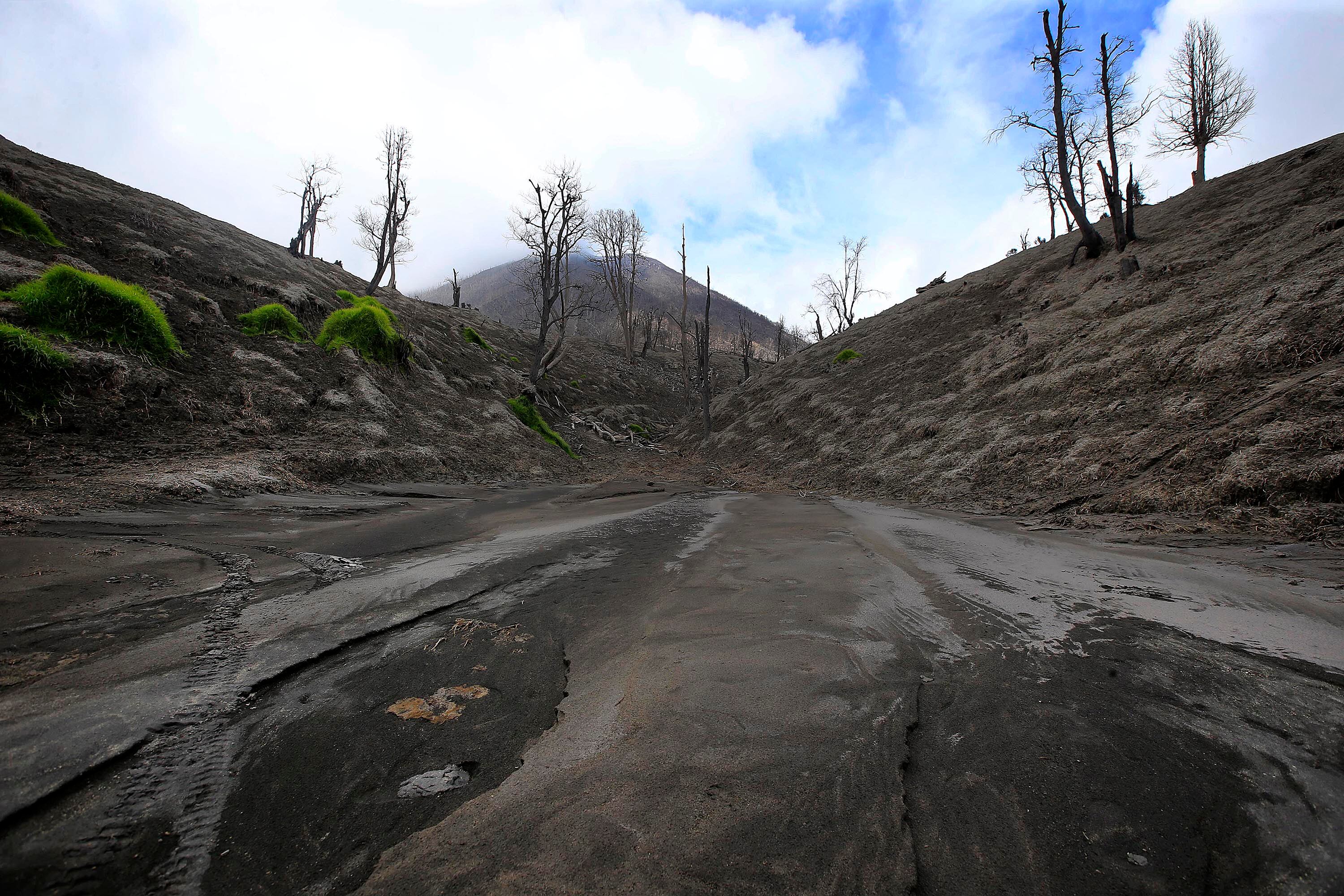 Hacienda La Central, Santa Cruz de Turrialba.