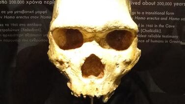 Cráneo de 300 mil años cambiaría la historia: no era de un humano ni de un neandertal