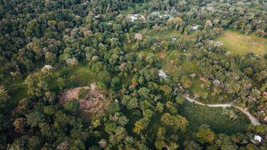 Defensoría cuestiona informe del Minae sobre Gandoca-Manzanillo y pide intervención de Sala IV