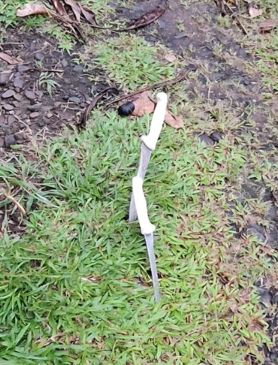 Vecinos y feligreses muestran su preocupación por la seguridad de los espacios religiosos en la zona.