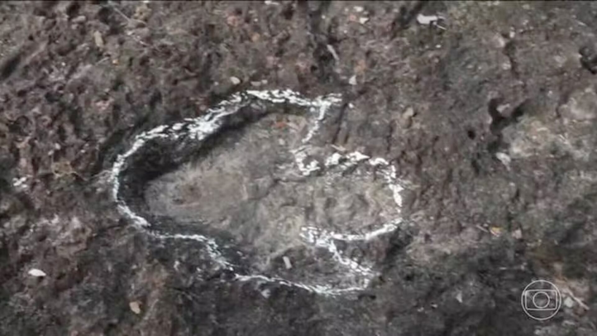 Huellas fósiles de dinosaurios y plantas antiguas fueron encontradas en Roraima, Brasil; científicos proponen crear un parque geológico en la región.