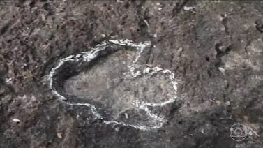 Investigadores descubren huellas de dinosaurios en la Amazonia: ‘Se han identificado seis géneros’