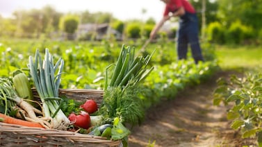 Agricultores y transportistas de México iniciarán paro nacional por situación del agro