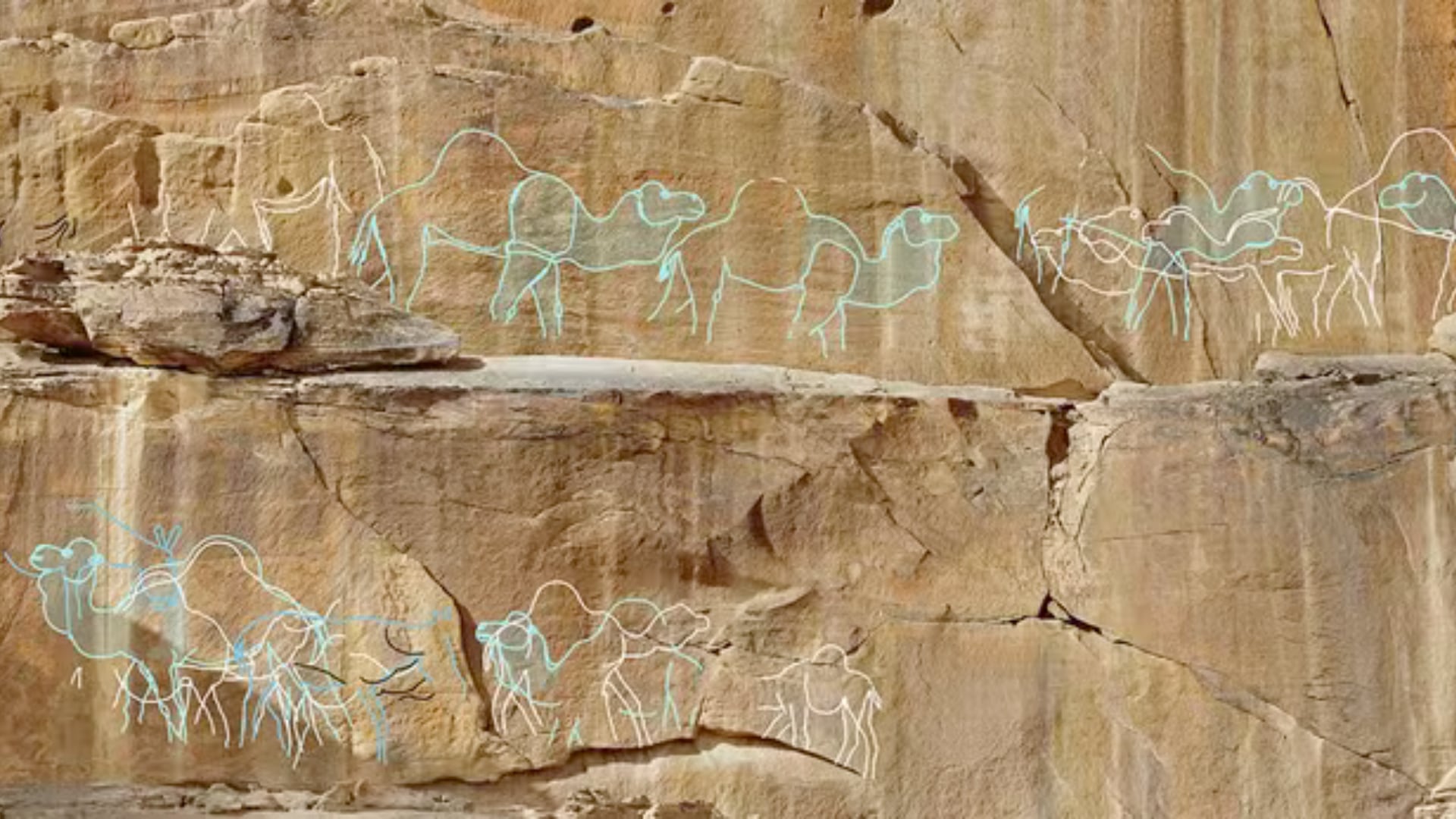 Grabados de camellos indican antiguos puntos de agua usados por humanos hace 12.000 años en el desierto de Arabia Saudita.